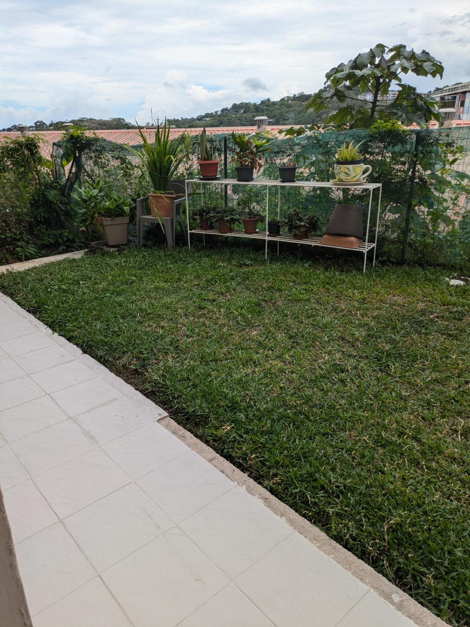 N'Jok Papeete Apartment Papeete  Luaran gambar